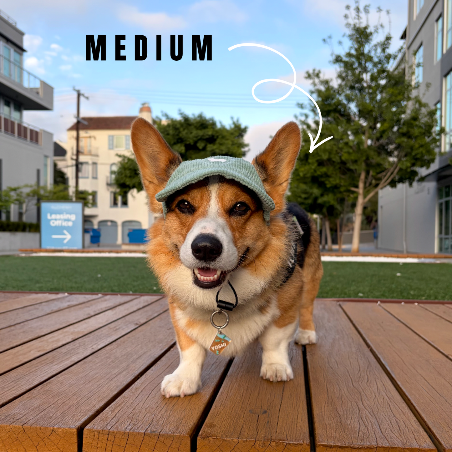 Sage Green Adjustable Dog Hat