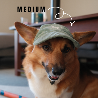 Sage Green Adjustable Dog Hat