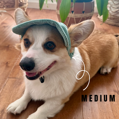 Sage Green Adjustable Dog Hat