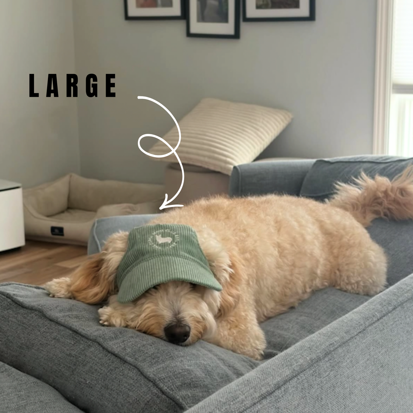 Sage Green Adjustable Dog Hat
