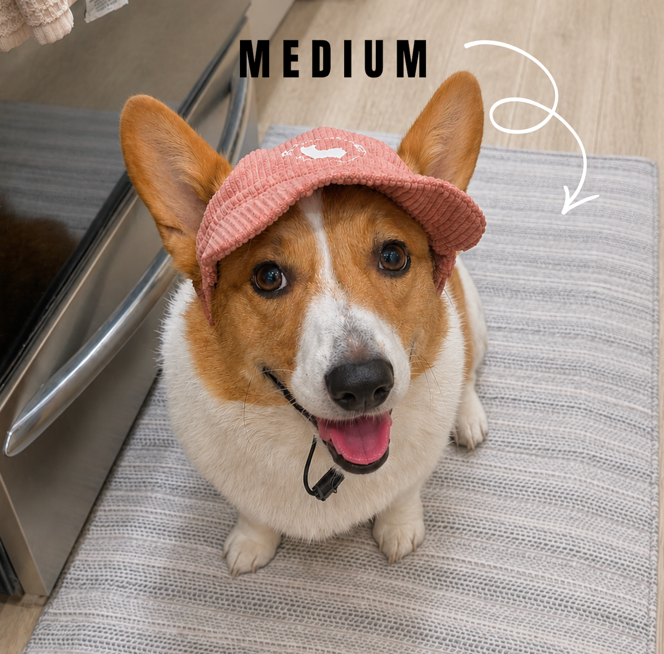 Dusty Pink Adjustable Dog Hat